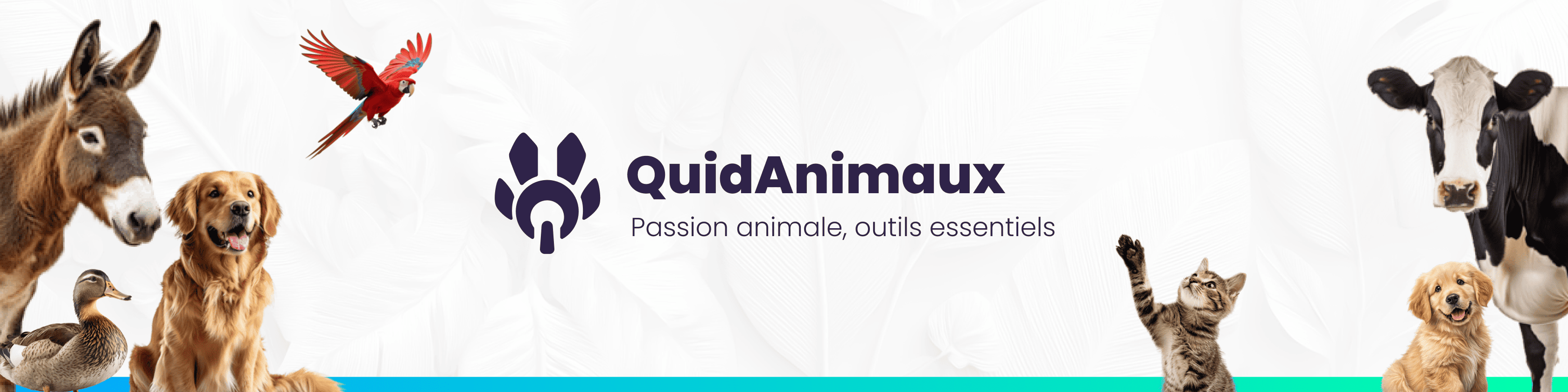 Bannière QUIDANIMAUX